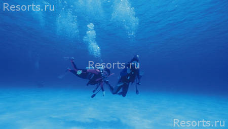 Is Morus Relais 37